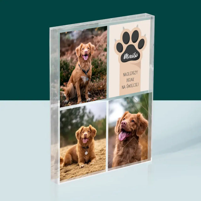 Fotokolaż: Najlepszy Pies - Blok Akrylowy z Nadrukiem
