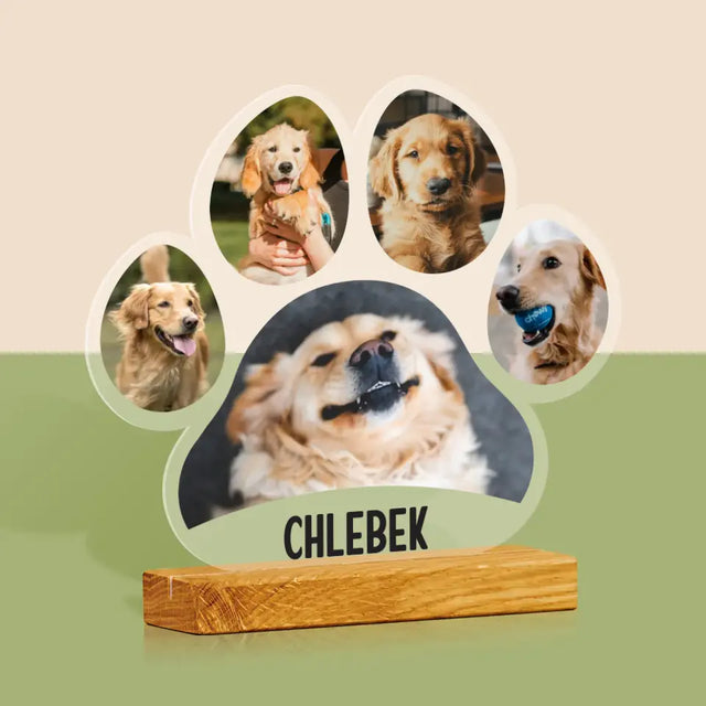 Kształt Ze Zdjęć: Odcisk Łapki - Szkło Akrylowe z Nadrukiem