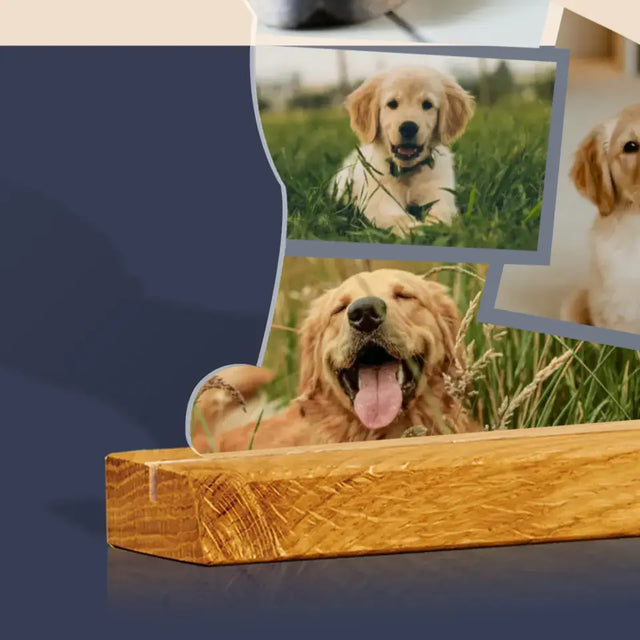 Kształt Ze Zdjęć: Pies - Szkło Akrylowe z Nadrukiem