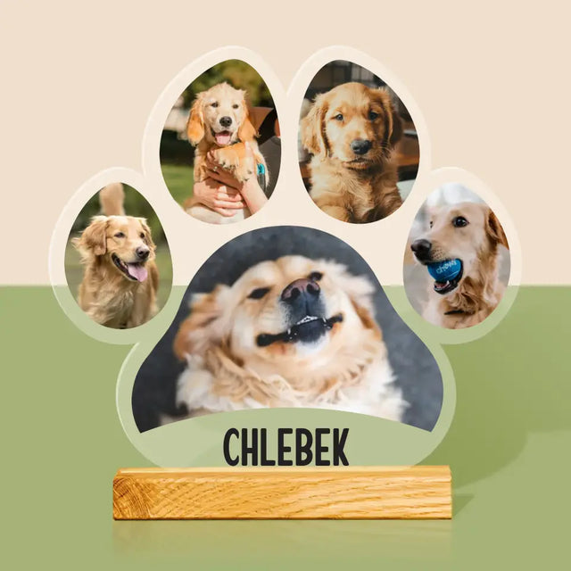 Kształt Ze Zdjęć: Odcisk Łapki - Szkło Akrylowe z Nadrukiem