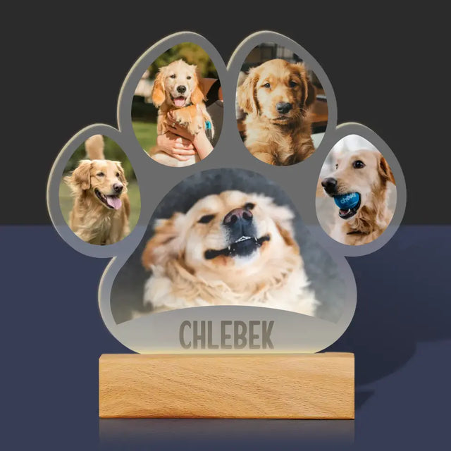 Kształt Ze Zdjęć: Odcisk Łapki - Szkło Akrylowe z Nadrukiem