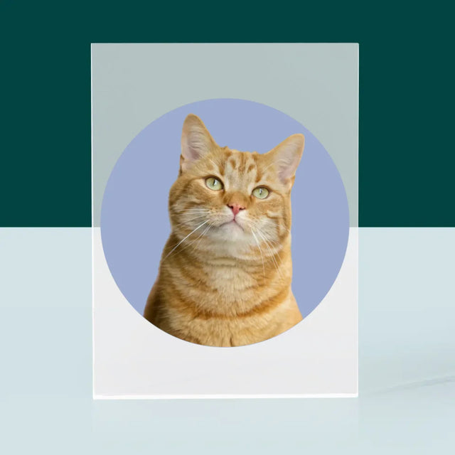 Zdjęcie: Twój Kot - Blok Akrylowy z Nadrukiem