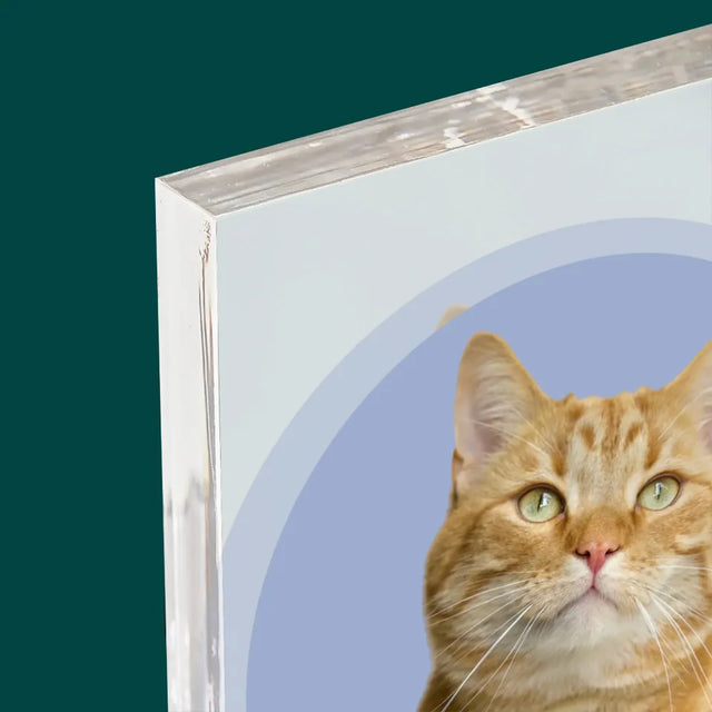 Zdjęcie: Twój Kot - Blok Akrylowy z Nadrukiem