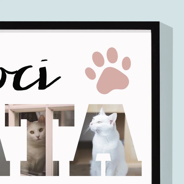 Słowo Ze Zdjęć: Koci Tata - Wydruk Obramowany