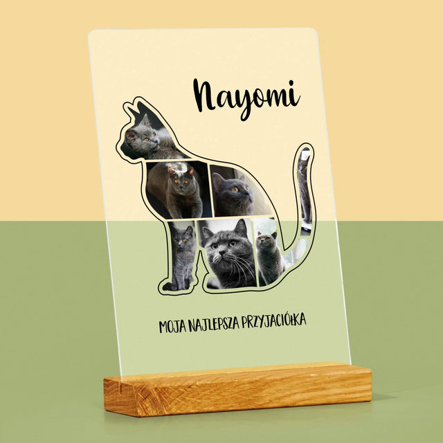 Kształt Ze Zdjęć: Kot Najlepszy Przyjaciel - Wydruk Na Szkle Akrylowym