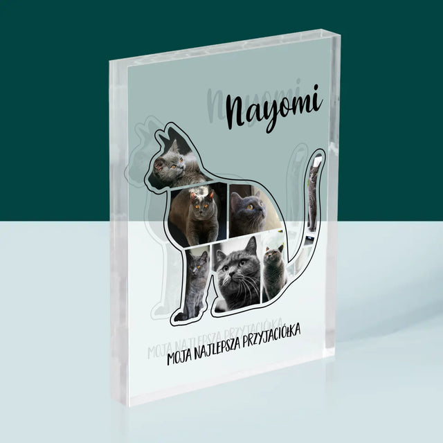 Kształt Ze Zdjęć: Kot Najlepszy Przyjaciel - Blok Akrylowy z Nadrukiem