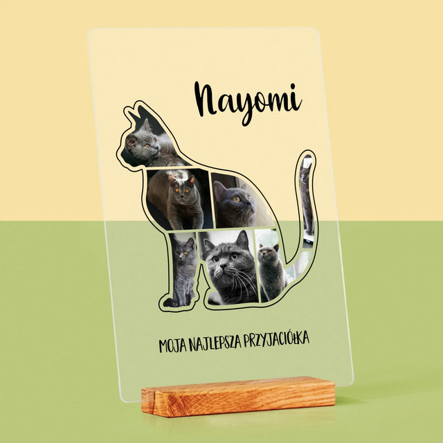 Kształt Ze Zdjęć: Kot Najlepszy Przyjaciel - Wydruk Na Szkle Akrylowym