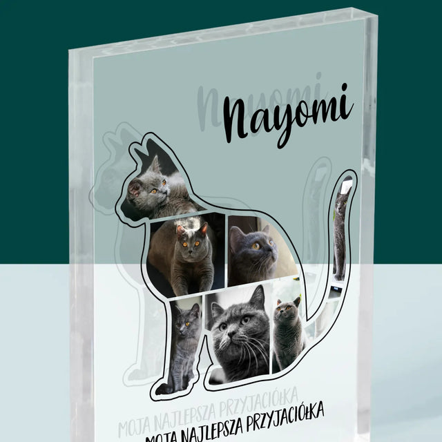Kształt Ze Zdjęć: Kot Najlepszy Przyjaciel - Blok Akrylowy z Nadrukiem