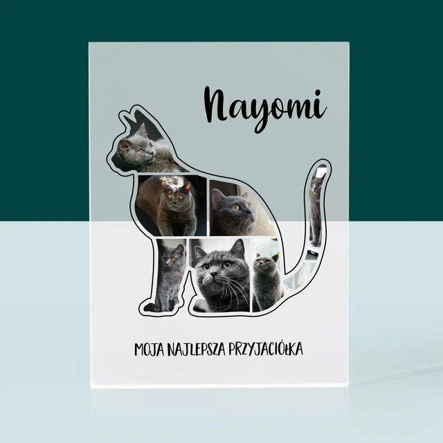 Kształt Ze Zdjęć: Kot Najlepszy Przyjaciel - Blok Akrylowy z Nadrukiem