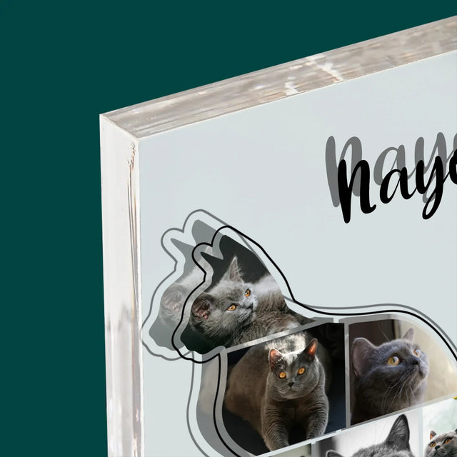 Kształt Ze Zdjęć: Kot Najlepszy Przyjaciel - Blok Akrylowy z Nadrukiem