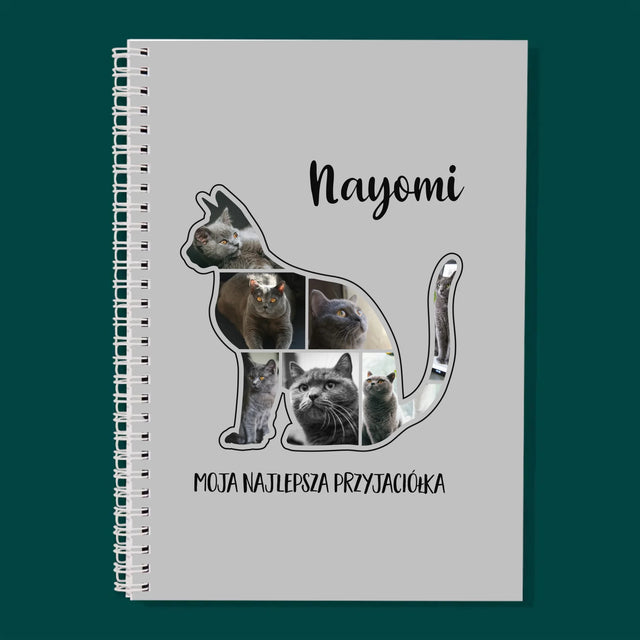 Fotokolaż: Ściana Galerii z Pupilem - Planer Na Spirali - Dzienny