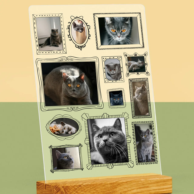 Fotokolaż: Ściana Galerii z Pupilem - Wydruk Na Szkle Akrylowym