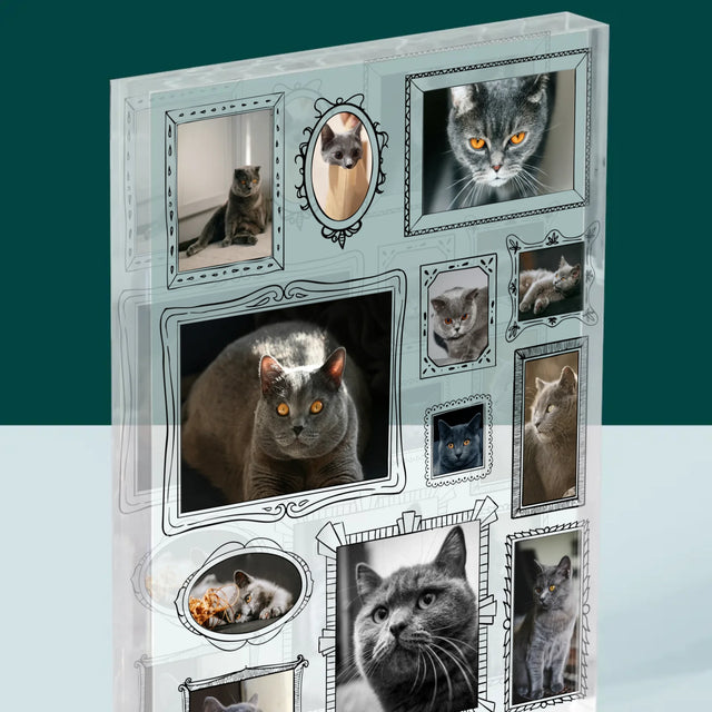 Fotokolaż: Ściana Galerii z Pupilem - Blok Akrylowy z Nadrukiem