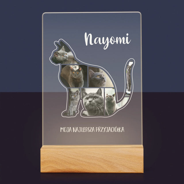 Kształt Ze Zdjęć: Kot Najlepszy Przyjaciel - Wydruk Na Szkle Akrylowym