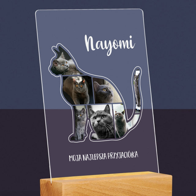 Kształt Ze Zdjęć: Kot Najlepszy Przyjaciel - Wydruk Na Szkle Akrylowym