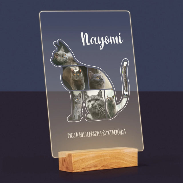 Kształt Ze Zdjęć: Kot Najlepszy Przyjaciel - Wydruk Na Szkle Akrylowym