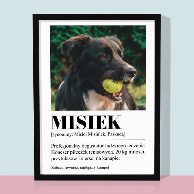 Zdjęcie i Podpis: Pupil Definicja - Wydruk Obramowany