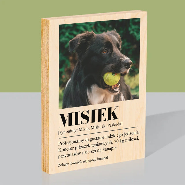 Zdjęcie i Podpis: Pupil Definicja - Wydruk Na Drewnie