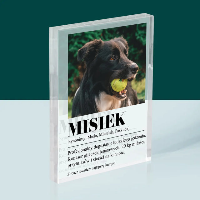 Zdjęcie i Podpis: Pupil Definicja - Blok Akrylowy z Nadrukiem