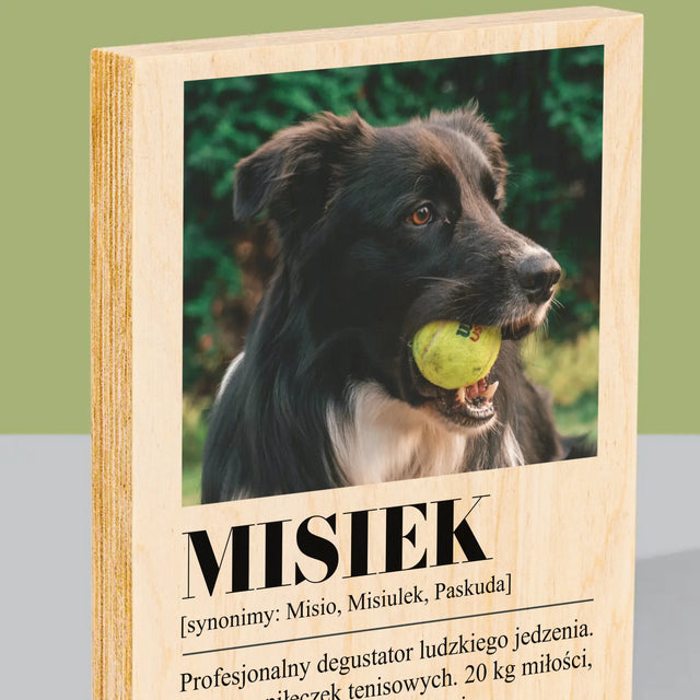 Zdjęcie i Podpis: Pupil Definicja - Wydruk Na Drewnie