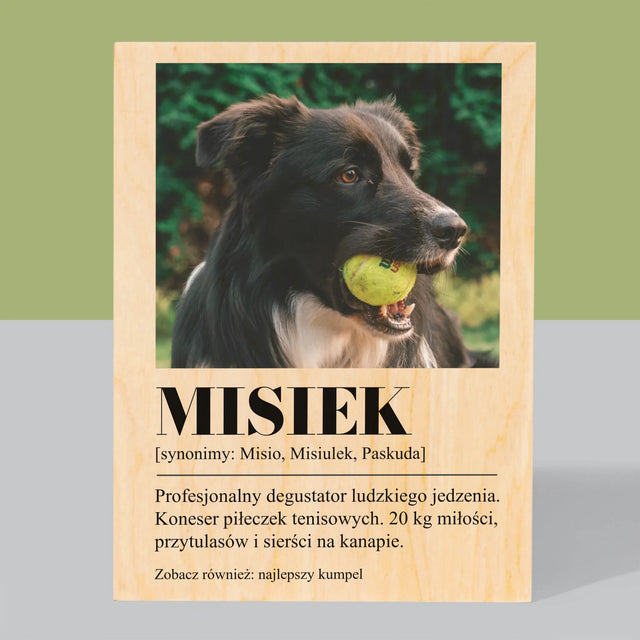 Zdjęcie i Podpis: Pupil Definicja - Wydruk Na Drewnie