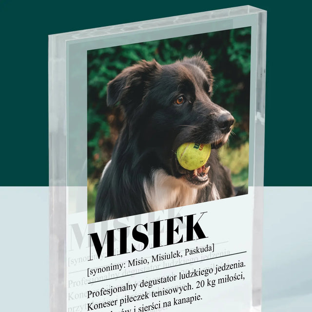 Zdjęcie i Podpis: Pupil Definicja - Blok Akrylowy z Nadrukiem