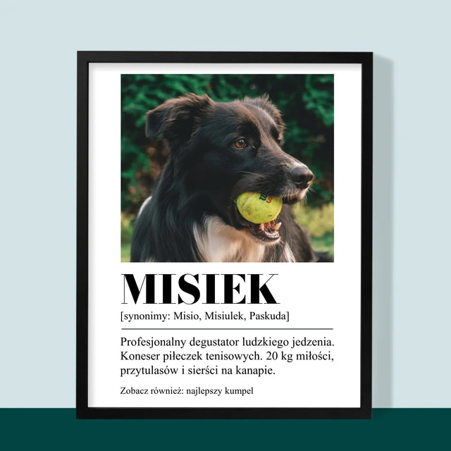 Zdjęcie i Podpis: Pupil Definicja - Wydruk Obramowany