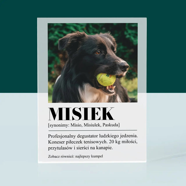 Zdjęcie i Podpis: Pupil Definicja - Blok Akrylowy z Nadrukiem