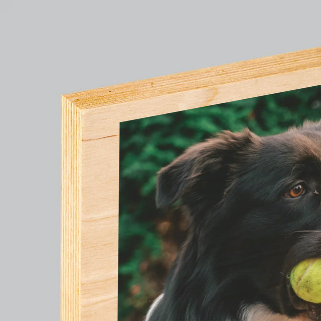 Zdjęcie i Podpis: Pupil Definicja - Wydruk Na Drewnie