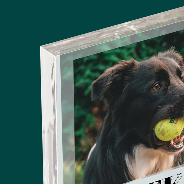 Zdjęcie i Podpis: Pupil Definicja - Blok Akrylowy z Nadrukiem