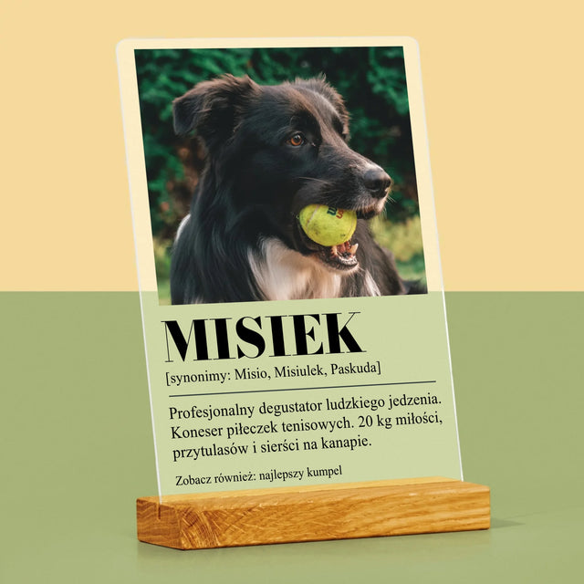 Zdjęcie i Podpis: Pupil Definicja - Wydruk Na Szkle Akrylowym