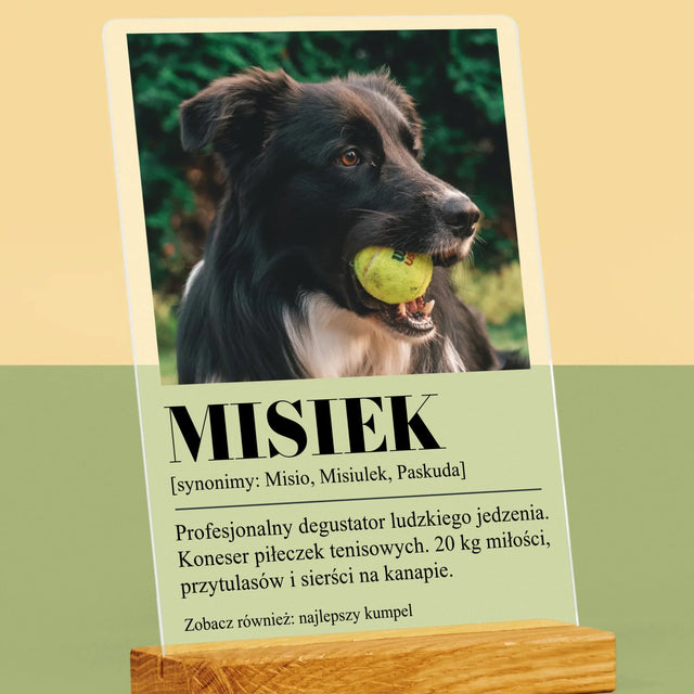 Zdjęcie i Podpis: Pupil Definicja - Wydruk Na Szkle Akrylowym