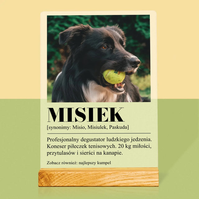 Zdjęcie i Podpis: Pupil Definicja - Wydruk Na Szkle Akrylowym