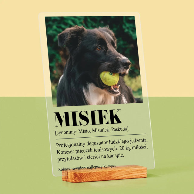 Zdjęcie i Podpis: Pupil Definicja - Wydruk Na Szkle Akrylowym