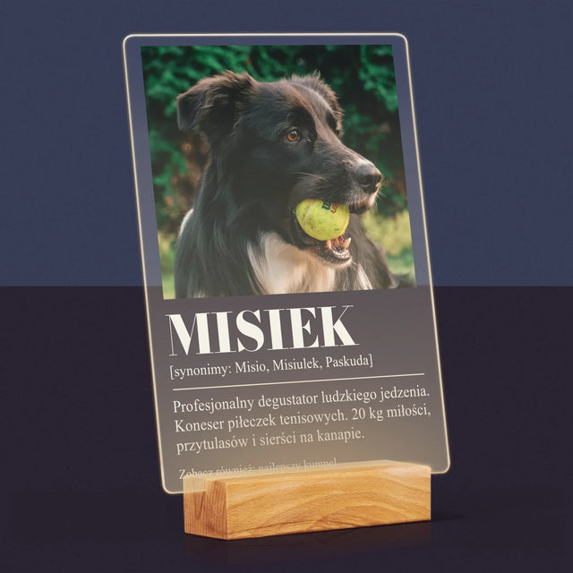 Zdjęcie i Podpis: Pupil Definicja - Wydruk Na Szkle Akrylowym