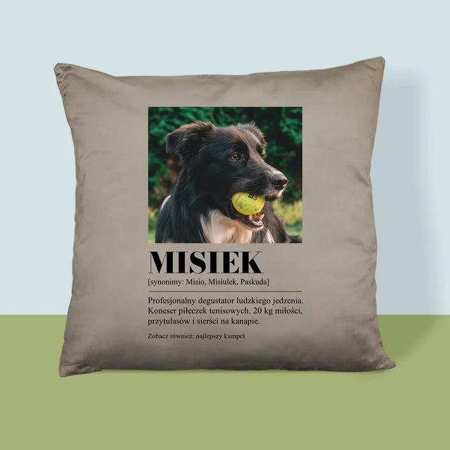 Zdjęcie i Podpis: Pupil Definicja - Poduszka z Nadrukiem