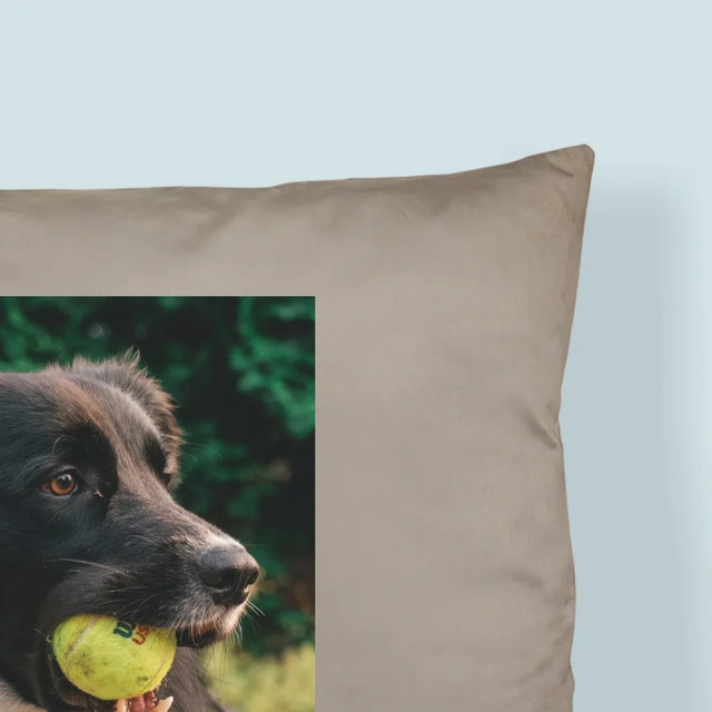 Zdjęcie i Podpis: Pupil Definicja - Poduszka z Nadrukiem