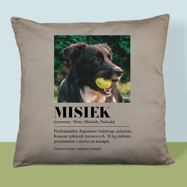 Zdjęcie i Podpis: Pupil Definicja - Poduszka z Nadrukiem