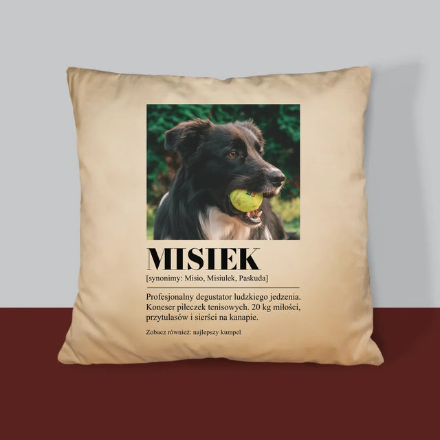 Zdjęcie i Podpis: Pupil Definicja - Poduszka z Nadrukiem