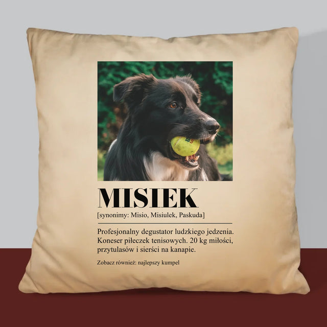 Zdjęcie i Podpis: Pupil Definicja - Poduszka z Nadrukiem