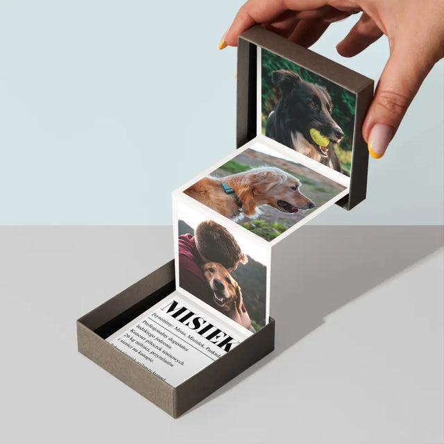 Zdjęcie i Podpis: Pupil Definicja - Zestaw Zdjęć Harmonijka