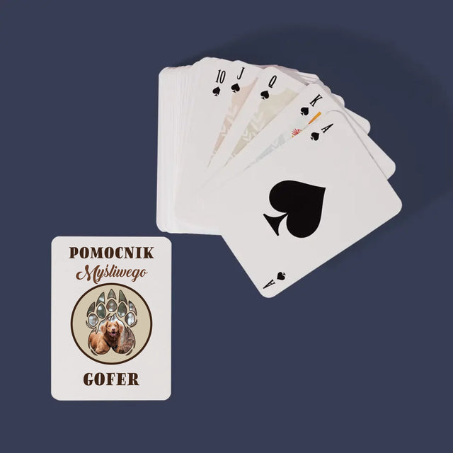 Kształt Ze Zdjęć: Pomocnik Myśliwego - Karty Do Gry