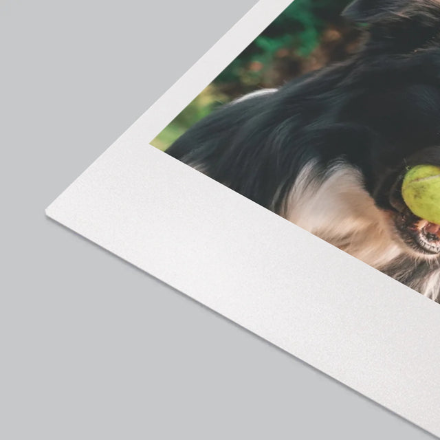 Zdjęcie i Podpis: Pupil Definicja - Podkładka Na Biurko