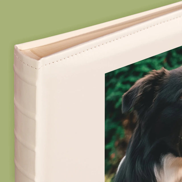 Zdjęcie i Podpis: Pupil Definicja - Album Na Zdjęcia