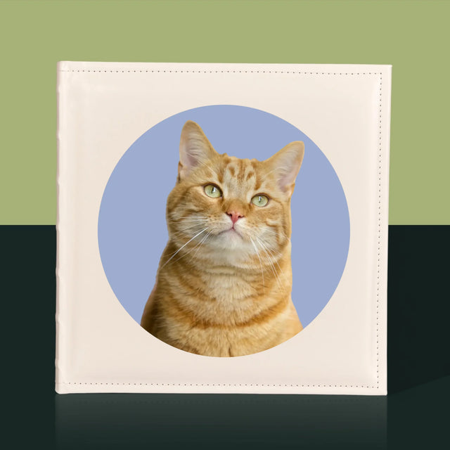 Zdjęcie: Twój Kot - Album Na Zdjęcia