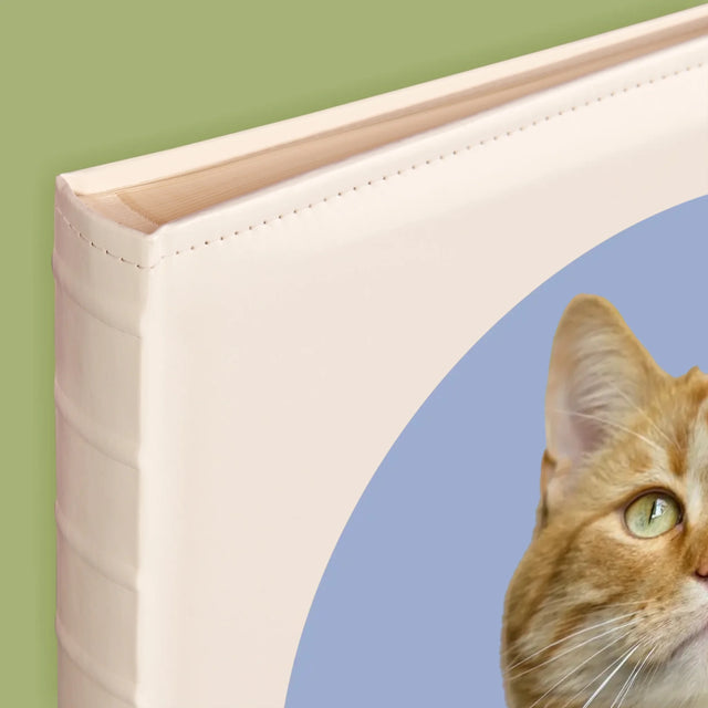 Zdjęcie: Twój Kot - Album Na Zdjęcia