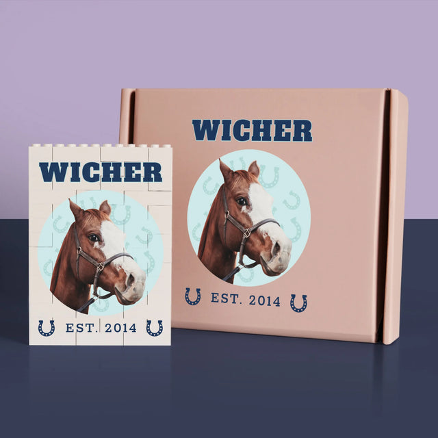 Twoja Postać: Twój Koń Varsity - Klocki LEGO z Nadrukiem