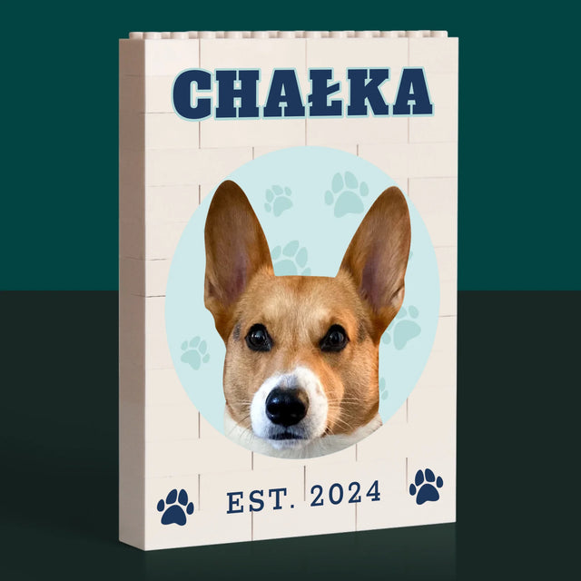 Twoja Postać: Twój Pies Varsity - Klocki LEGO z Nadrukiem