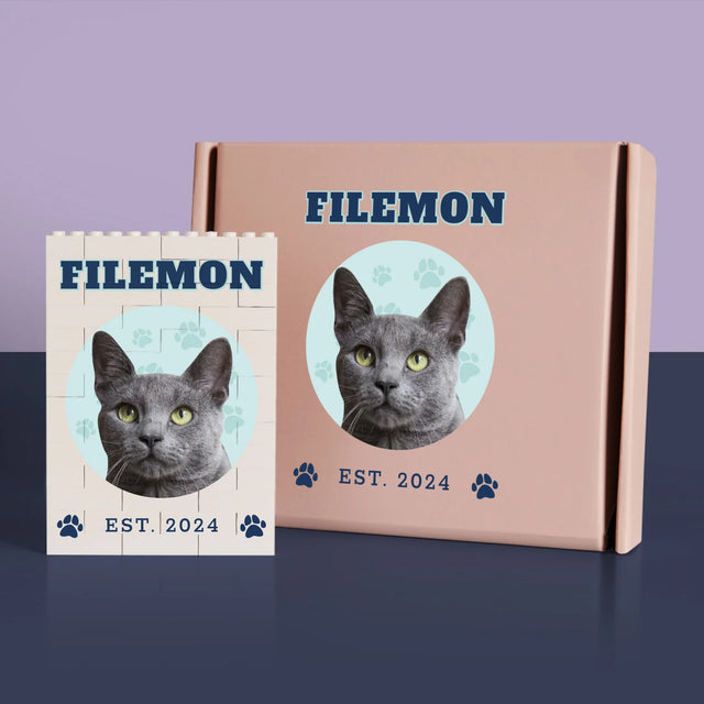 Twoja Postać: Twój Kot Varsity - Klocki LEGO z Nadrukiem