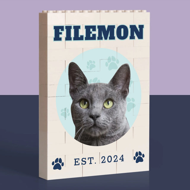 Twoja Postać: Twój Kot Varsity - Klocki LEGO z Nadrukiem